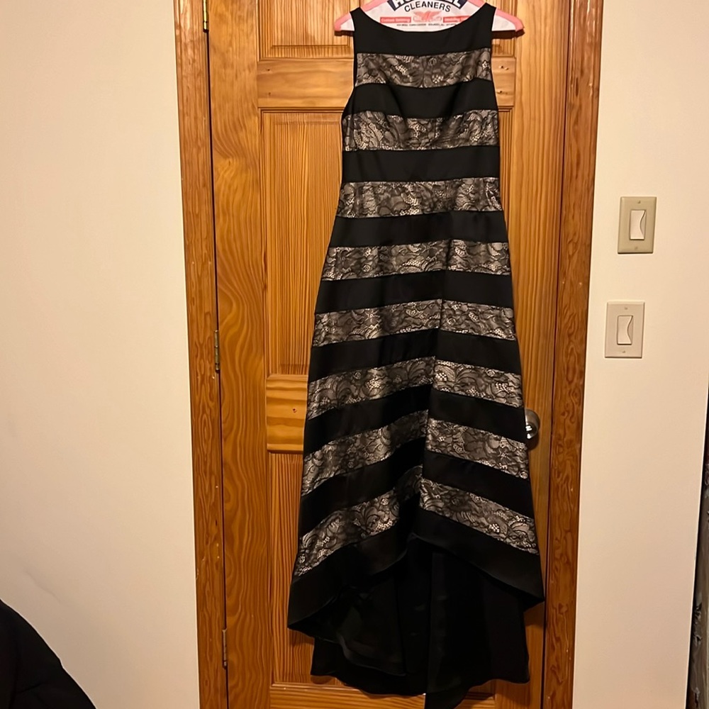 Adrianna Papell Women’s Sleeveless Striped Lace & Mikado Hi Low Gown